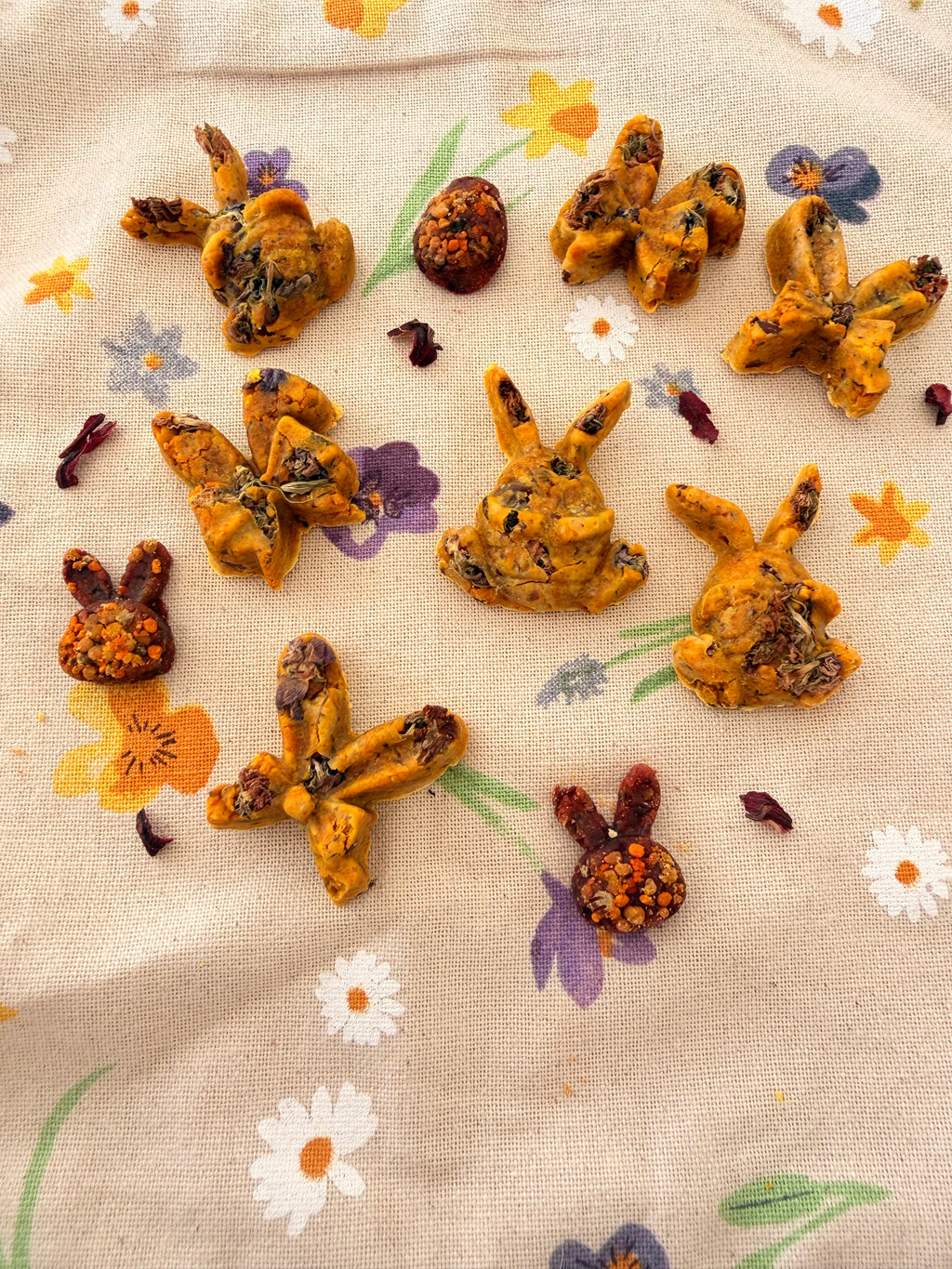 Hoppy Bites
