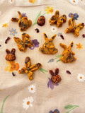 Hoppy Bites