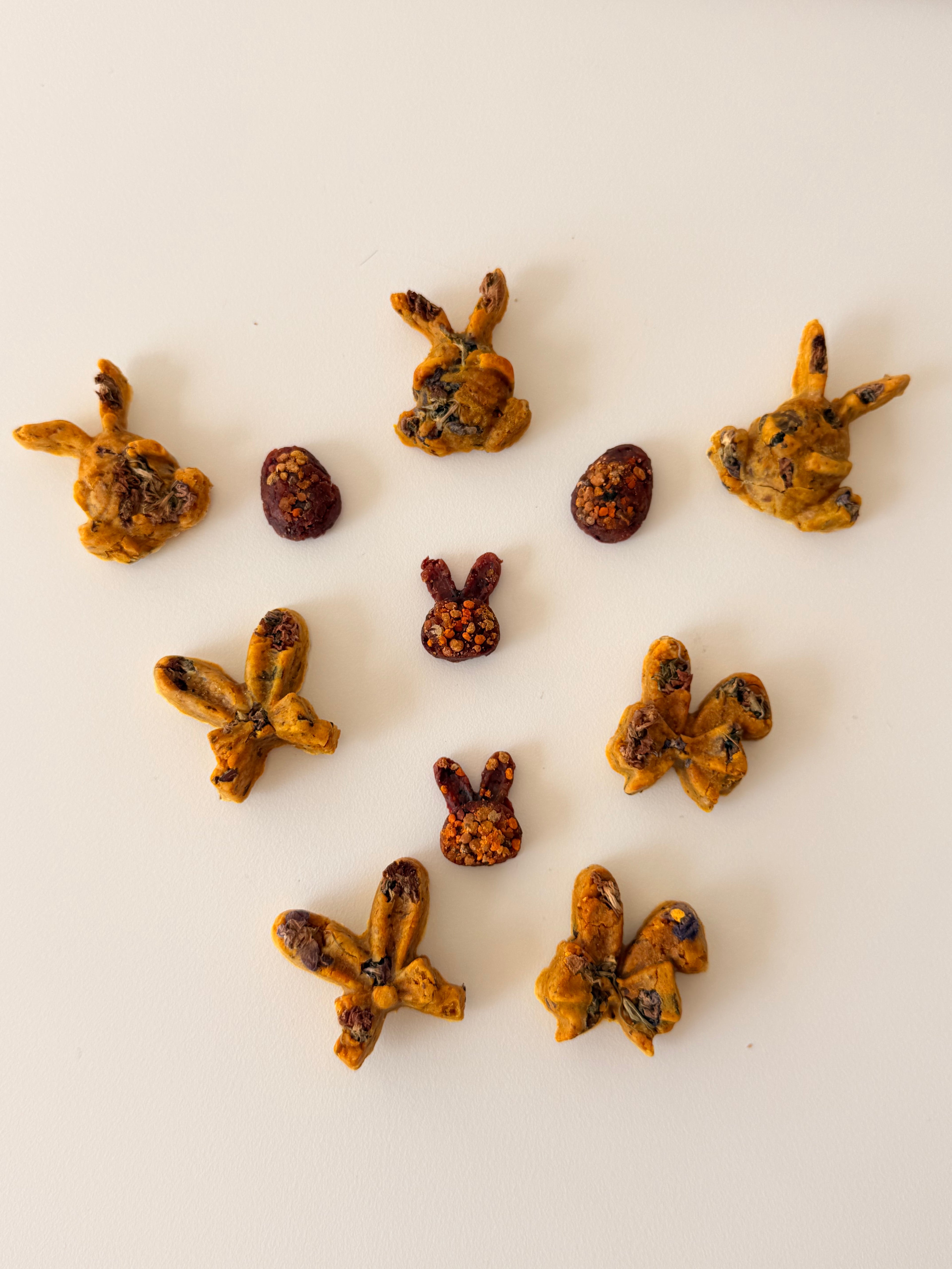 Hoppy Bites